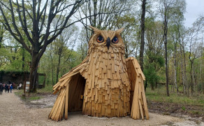 Rambouillet Forêt des aigles
