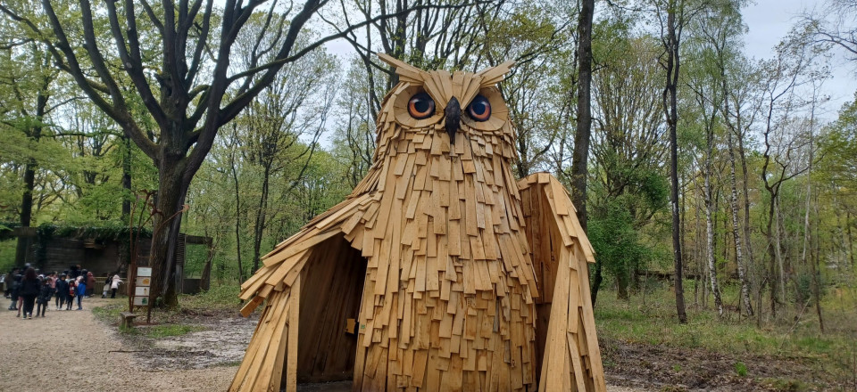 Forêt des aigles