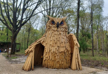 Rambouillet Forêt des aigles