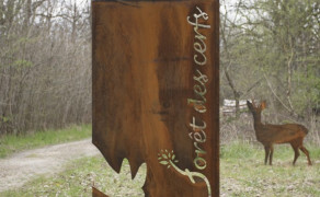 Rambouillet Forêt des cerfs