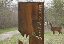 Rambouillet Forêt des cerfs